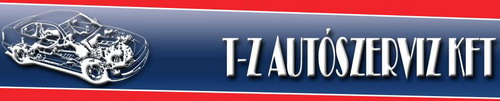 A TZ-autószerviz Kft. A TZ-autószerviz Kft.